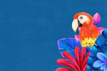 Macaw bird border background, blue | Free Photo Illustration - rawpixel