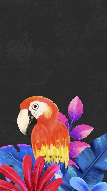 Macaw bird mobile wallpaper, black | Free Photo Illustration - rawpixel