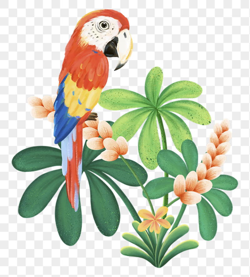 Macaw bird png sticker, cute | Free PNG Illustration - rawpixel