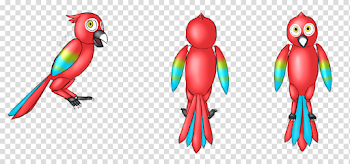 Macaw Face Transparent Images