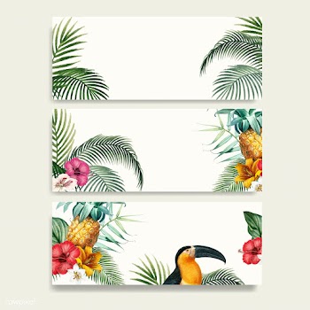 Macaw foliage mockup collection | Free stock vector - 555491