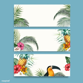 Macaw foliage mockup collection | Free stock vector - 555504