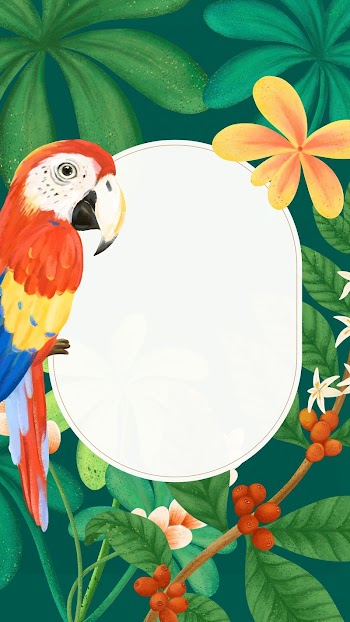 Macaw frame iPhone wallpaper, green | Free Photo Illustration - rawpixel