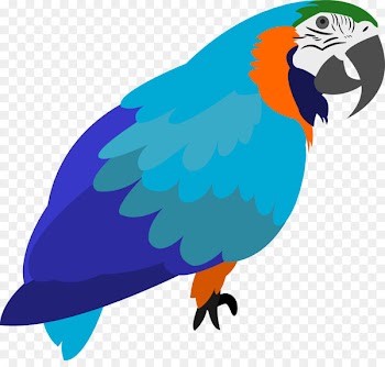 Macaw, Parrot, Bird, Vertebrate PNG