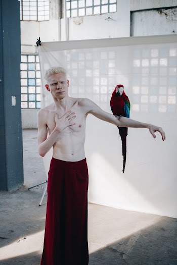 Macaw Parrot Perched on a Topless Man's Left Arm