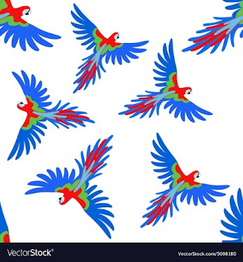 Macaw parrot seamless pattern vector image
