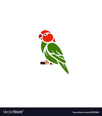 Macaw vector image