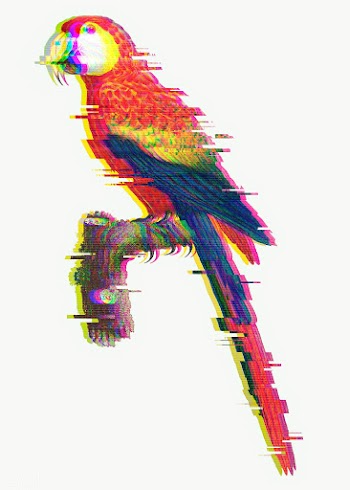 Macaw with glitch effect sticker overlay | Free  transparent png - 2350609