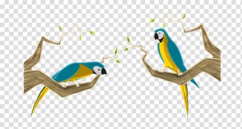 Macaws Parrot Animation Beak, parrot transparent background PNG clipart
