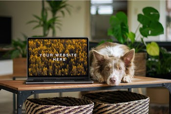 MacBook with Dog Mockup your website ere 