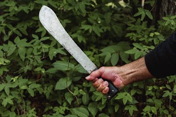 Machete In Hand In Wilderness