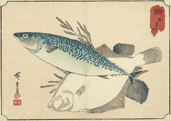 Mackerel and HalibutOriginal from the Minneapolis | Free Photo - rawpixel