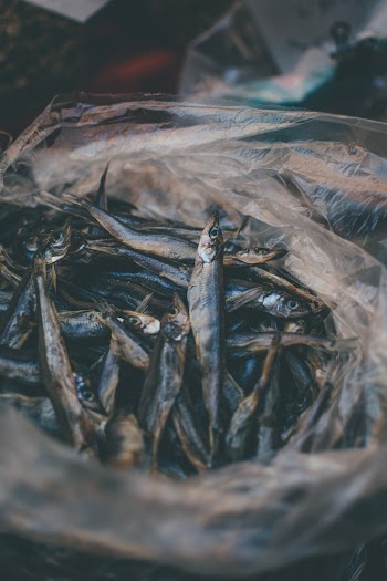 Mackerel Fish in Plastic Bag