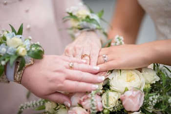 Macro Photo of Women Wearing Rings