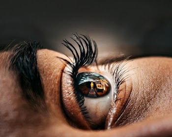Macro Photography of Eye