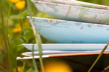 macro photography of green leafed plants beside books