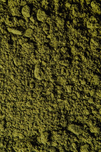 Macro Photography of Green Powder