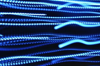 macro photography of lights