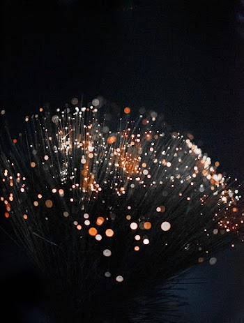 Macro Photography of Orange Fiber Optic Lamp