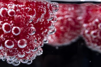 Macro Photography of Pink Berries Water