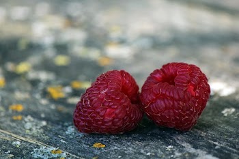 Macro Photography of Raspberries