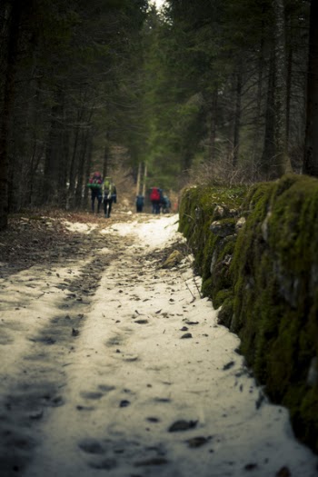 Macro Photography of Snowy Terrain