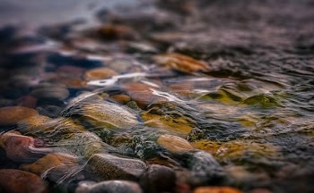 macro photography of water and stones