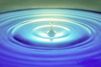 Macro Photography of Water Drop