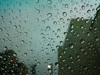 Macro Photography of Water Droplets