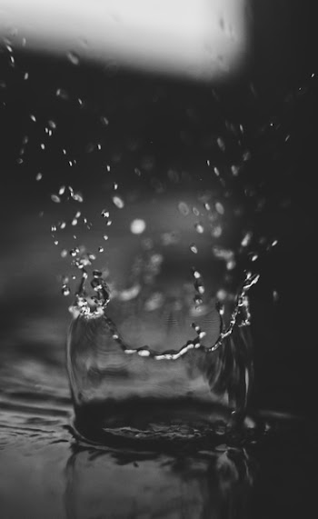 Macro Photography of Water Drops