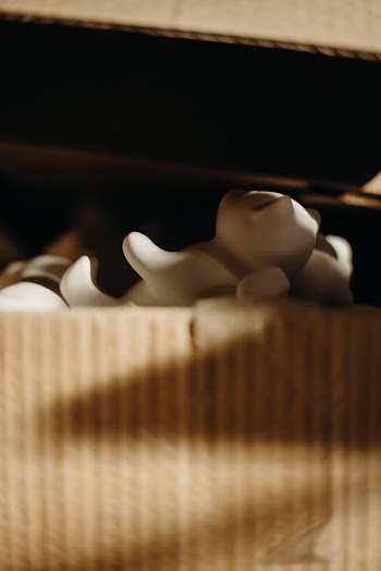Macro Photography of White Toy in Brown Box