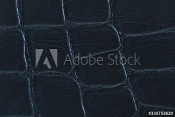 Macro shot of a patterned leather material