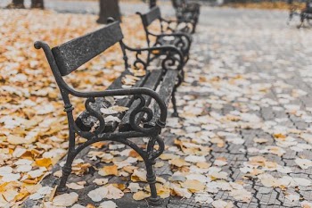 macro shot of black metal bench