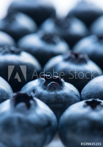 Macro shot of blueberry background