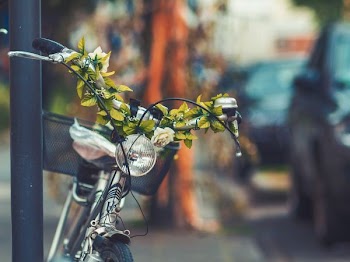 macro shot of gray bicycle