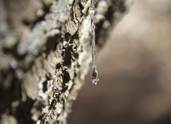 Macro shot of ice dips. | Free Photo - rawpixel