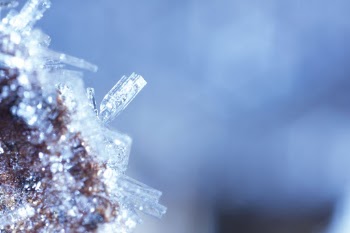 Macro shot of ice, winter | Free Photo - rawpixel