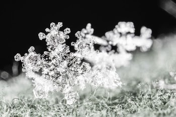 Macro shot of snowflakes. Original | Free Photo - rawpixel