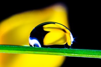 Macro Shot of Water Drop