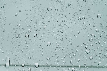 macro shot of water drops