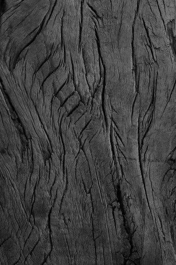 Macro Shot Photography of a Wood