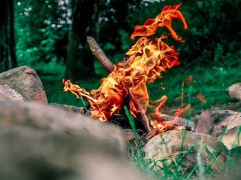 Macro Shot Photography of Bonfire