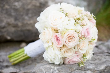 Macro Shot Photography of Flowers