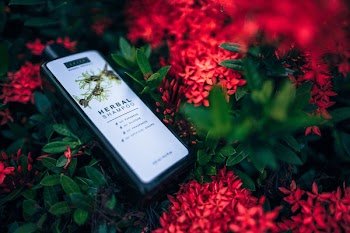 Macro Shot Photography Of Herbal Shampoo Bottle