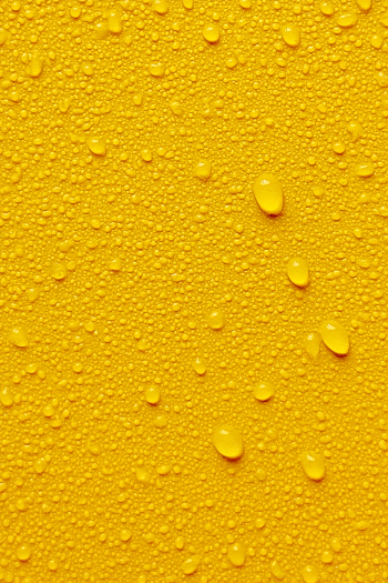 Macro Water Droplets on Vibrant Yellow Surface