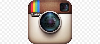 Mad Fox Brewing Company Youth For Christ New York City Web design - instergram 