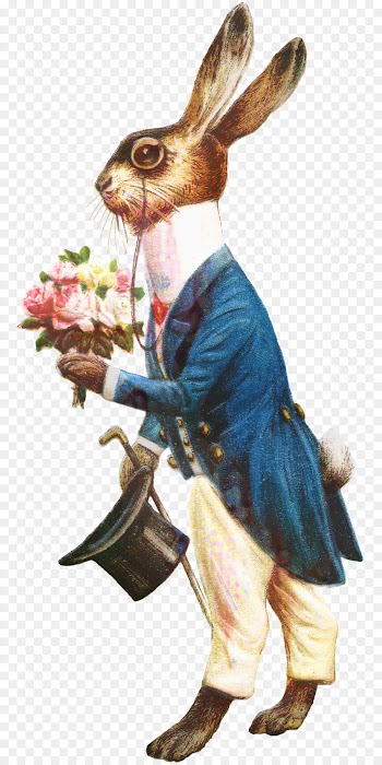 Mad Hatter, Rabbit, Scone, Costume, Rat PNG