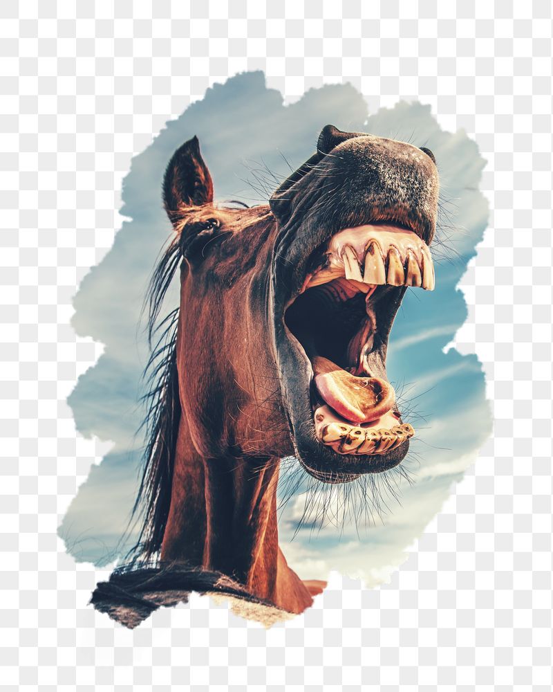 Mad horse png sticker, animal, | Free PNG - rawpixel