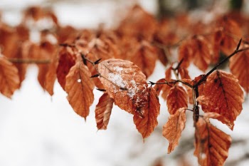 Made with Canon 5d Mark III and loved analog lens, Leica Summilux-R 1.4 / 50mm (Year: 1983)
