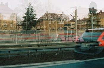 Made with Leica R7 (Year: 1994) and Leica Summilux-R 1.4 / 50mm (Year: 1983). Analog scan via meinfilmlab.de: Fuji Frontier SP-3000. Film reel: Kodak Portra 800